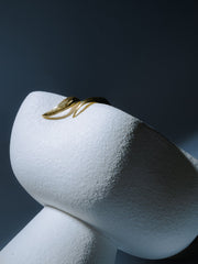 Wish Earring